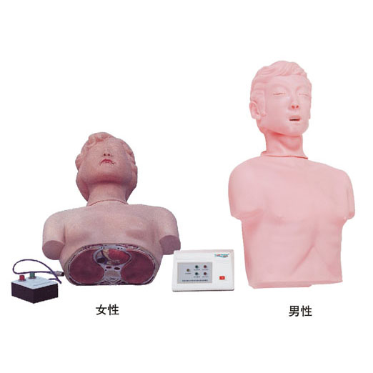  半身心肺復蘇訓練模擬人KAS-CPR170  